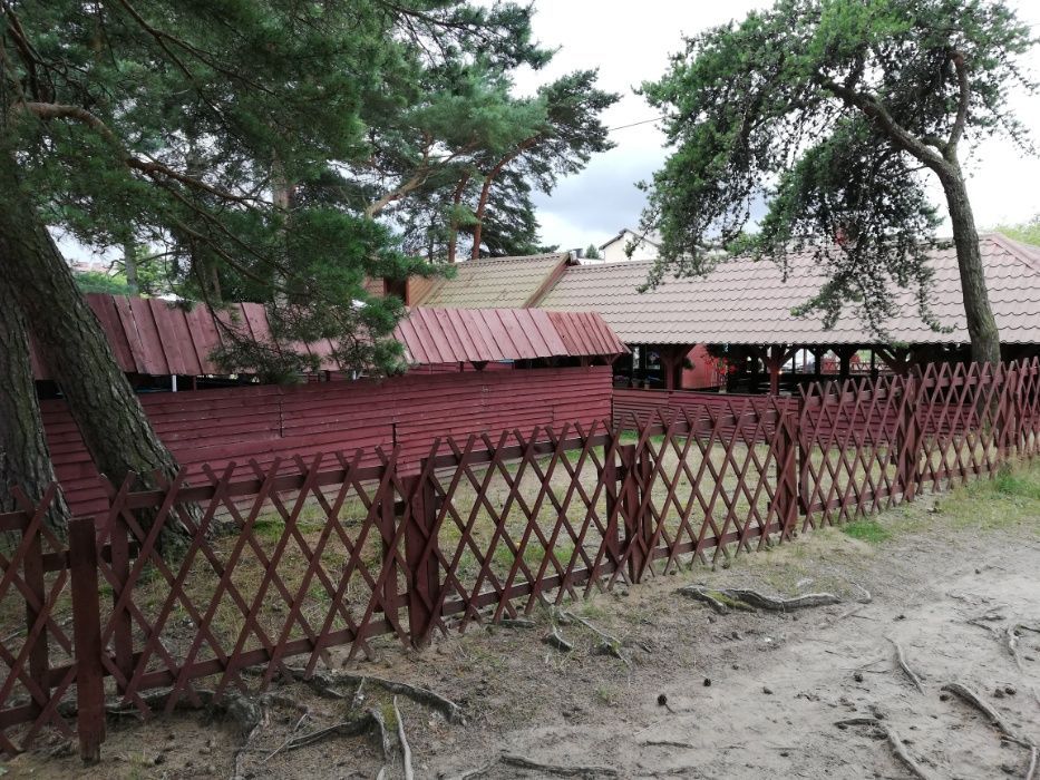 Lokal Jastarnia. Zdjęcie 6