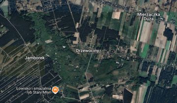 dom wolnostojący, 4 pokoje Drzewociny