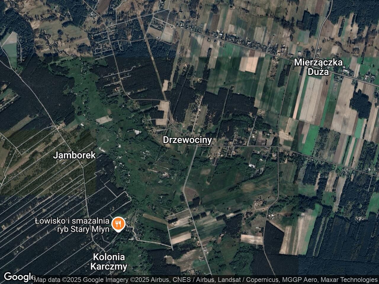 dom wolnostojący, 4 pokoje Drzewociny
