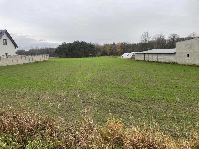 Działka budowlana Przemęt, ul. Rzemieślnicza. Zdjęcie 1