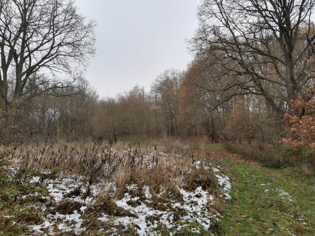 Działka budowlana Gronów. Zdjęcie 18