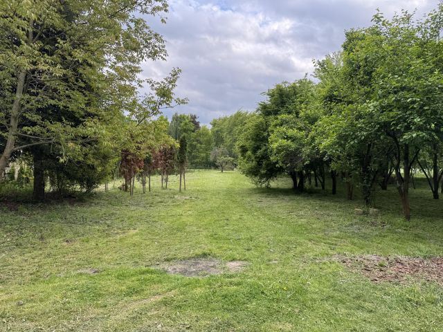 siedlisko, 10 pokoi Sobiesęki Pierwsze Wesółka, Sobiesęki Pierwsze. Zdjęcie 10