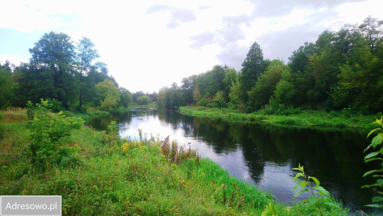 Działka budowlana Popielżyn-Zawady. Zdjęcie 9