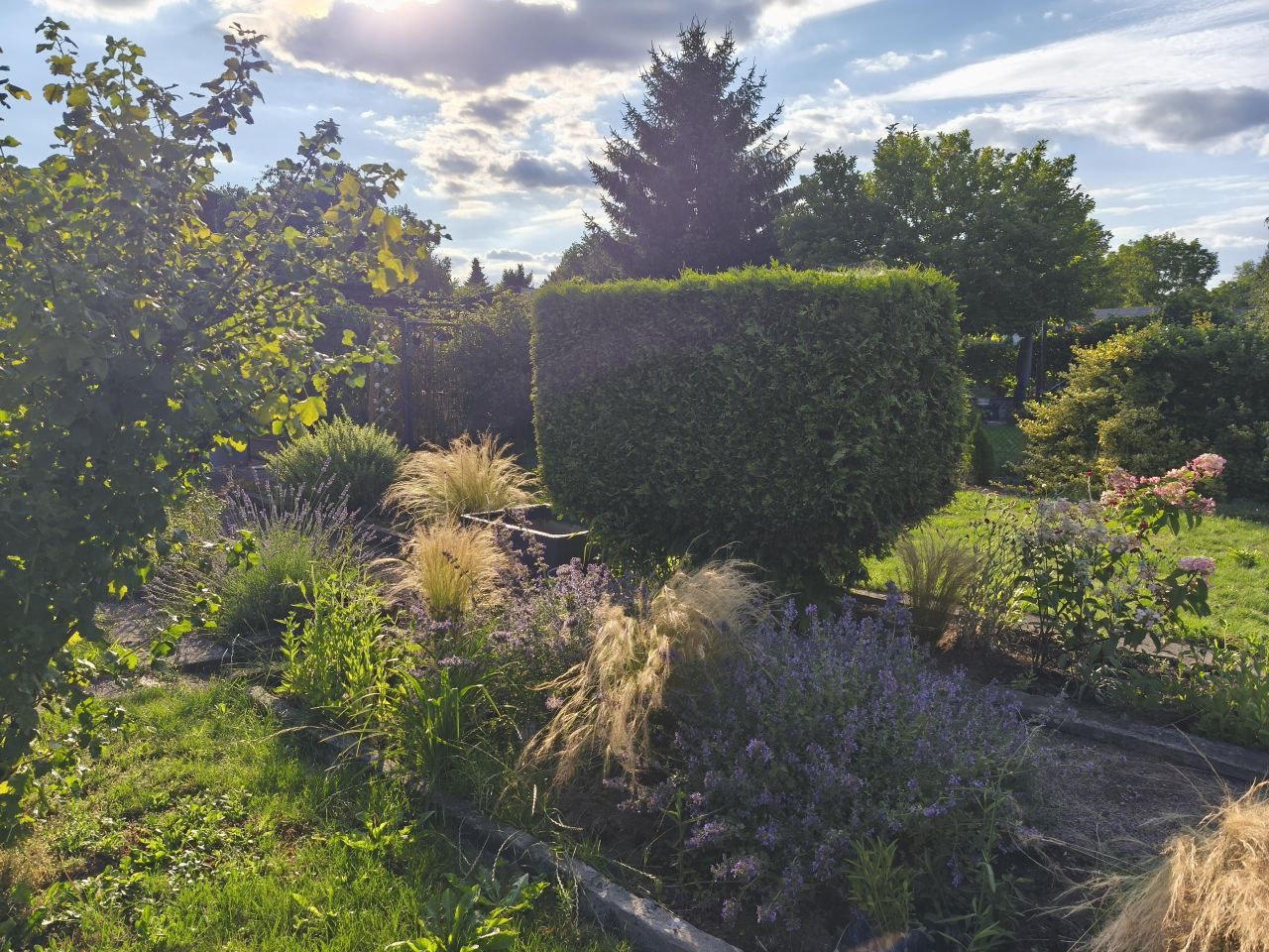 Działka rod Siemianowice Śląskie Centrum, ul. Pawła Śmiłowskiego. Zdjęcie 11