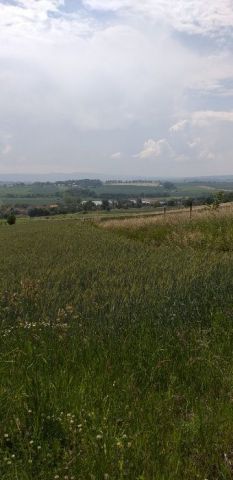 Działka rolna Gołogłowy. Zdjęcie 1