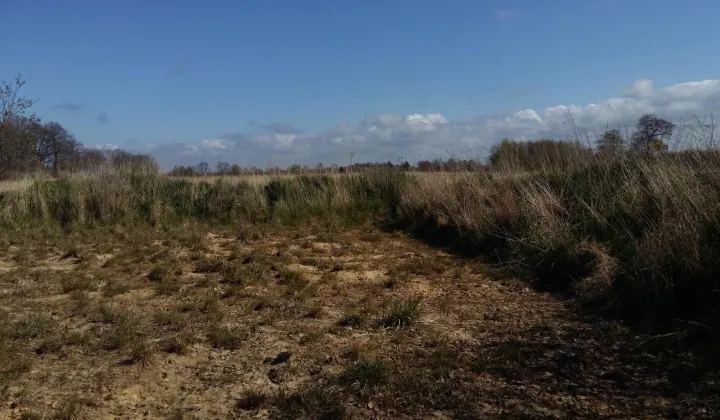 Działka rekreacyjna Kładno