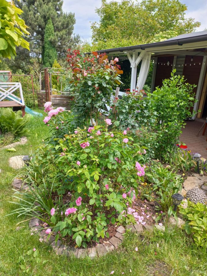 Działka rod Dys Bernatówka, ul. Bernatówka. Zdjęcie 23