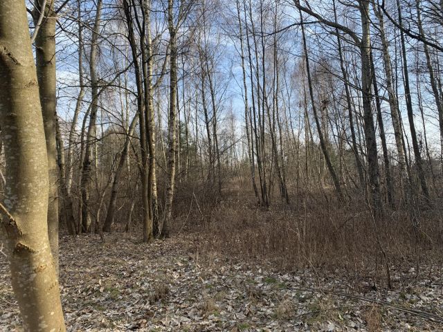 Działka budowlana Ruda-Huta, ul. Polna. Zdjęcie 1