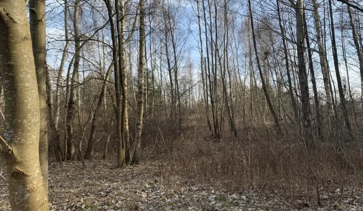 Działka budowlana Ruda-Huta, ul. Polna