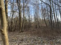 Działka budowlana Ruda-Huta, ul. Polna
