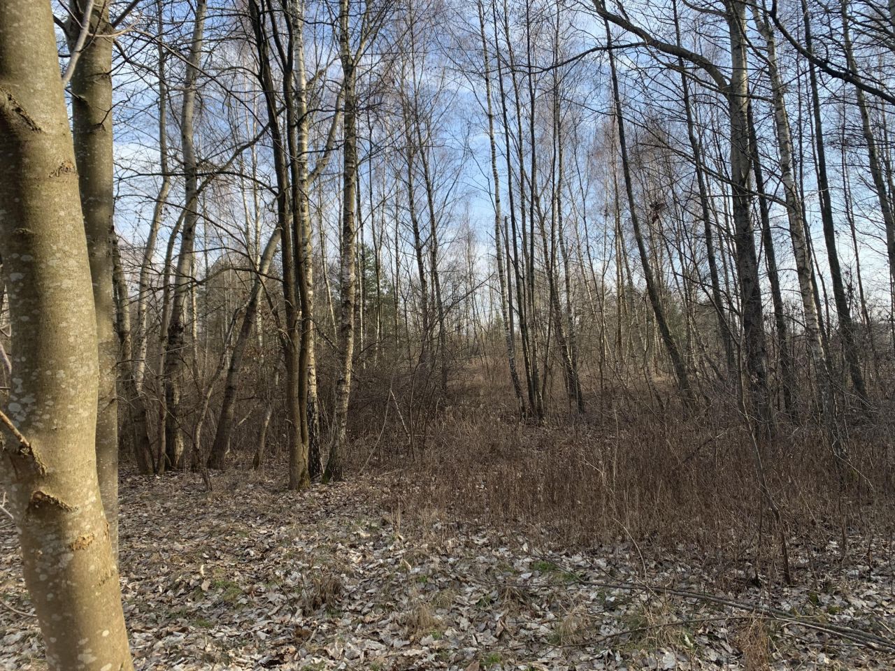 Działka budowlana Ruda-Huta, ul. Polna