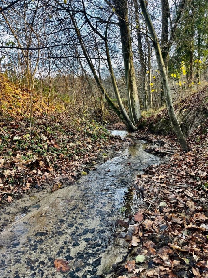 Działka rolno-budowlana Włosań. Zdjęcie 7