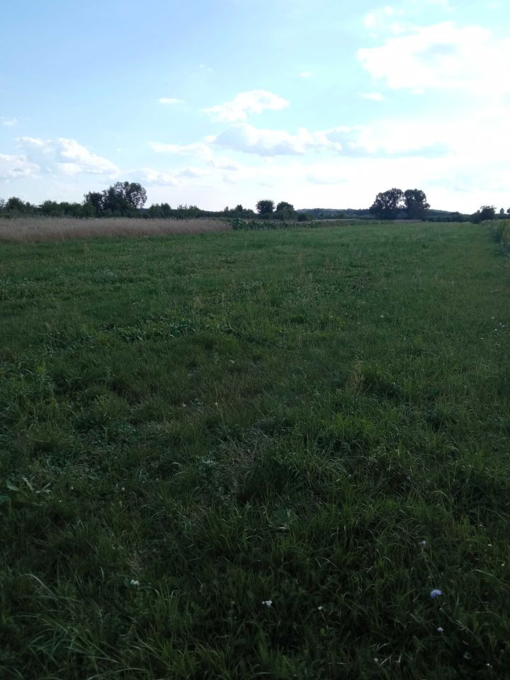 Działka rolna Koprzywnica. Zdjęcie 3