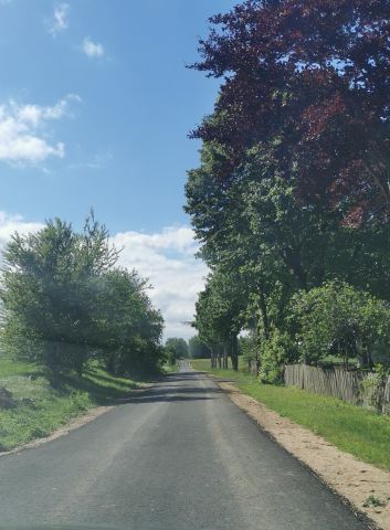 Działka rolna Łodwigowo. Zdjęcie 1