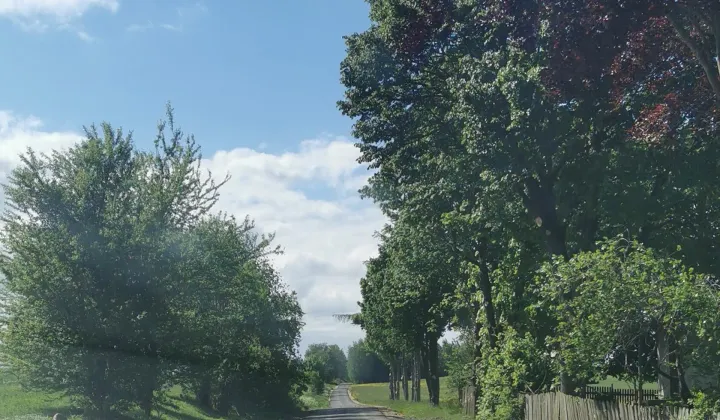 Działka rolna Łodwigowo