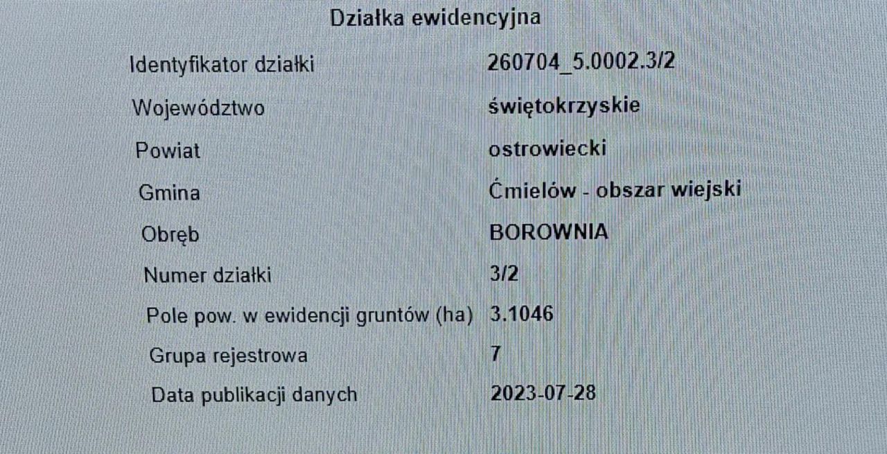 Działka leśna Borownia. Zdjęcie 6