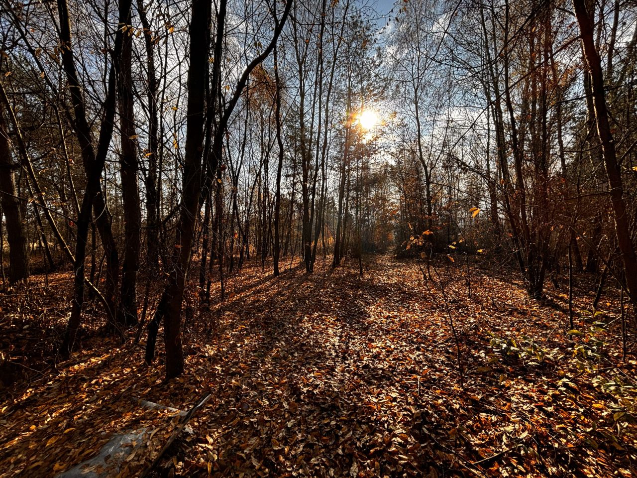 Działka budowlana Wyżnianka-Kolonia. Zdjęcie 9