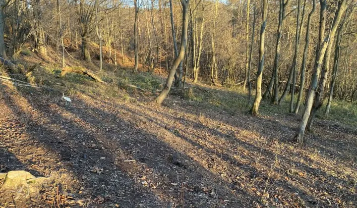 Działka rekreacyjna Krościenko nad Dunajcem