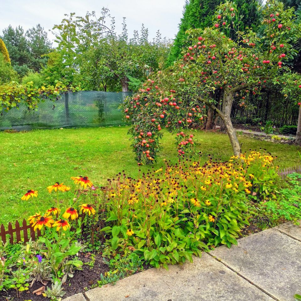 Działka rod Gliwice Sikornik, ul. Rybnicka. Zdjęcie 7