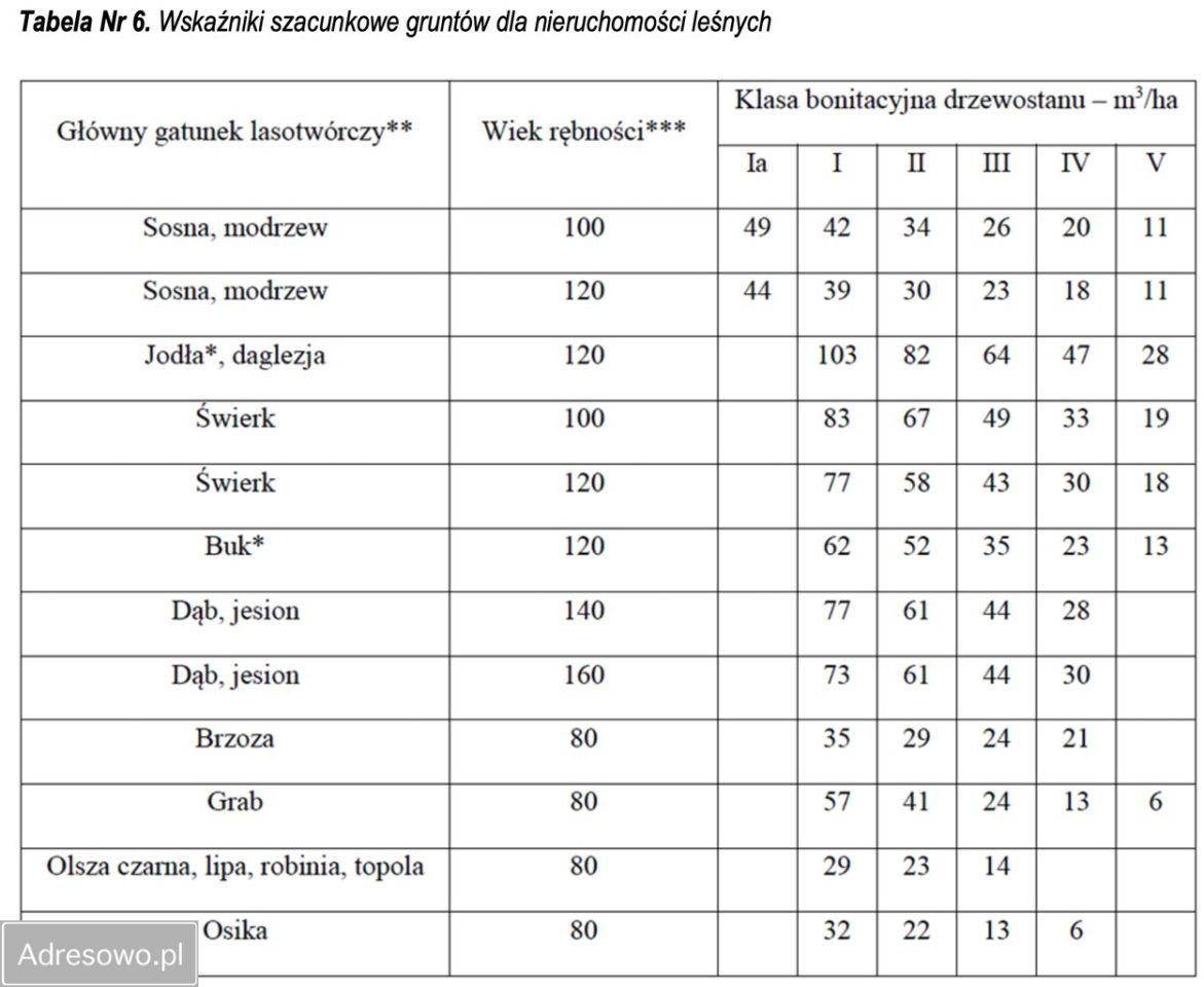 Działka leśna Bedlno. Zdjęcie 2