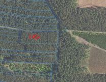 Działka budowlana Biały Bór. Zdjęcie 3