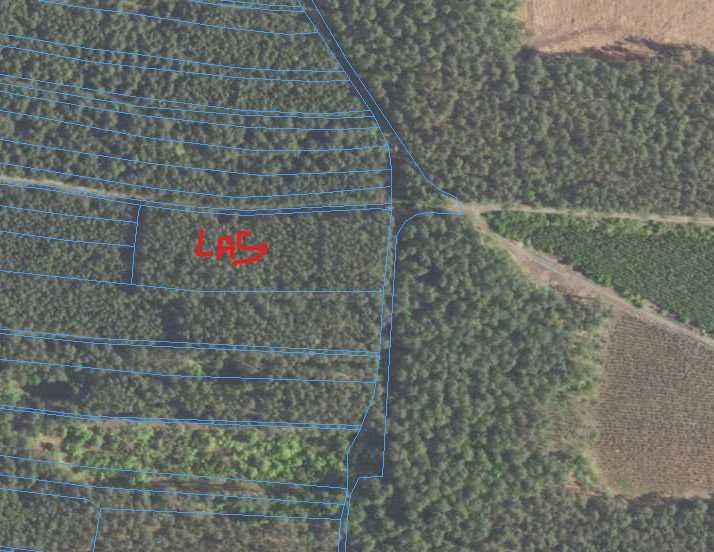 Działka budowlana Biały Bór. Zdjęcie 4