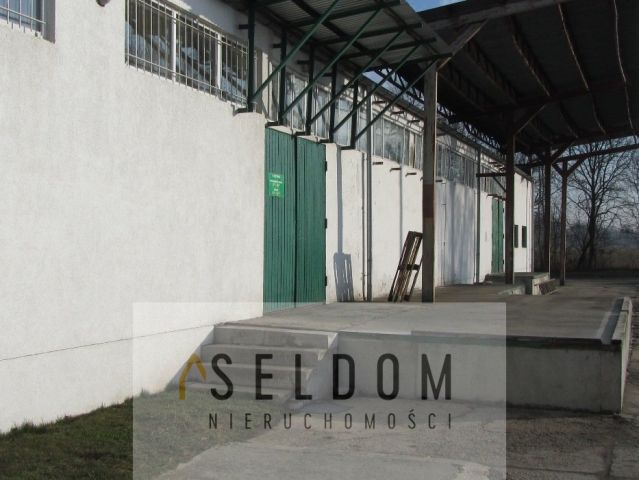 Lokal Prószków. Zdjęcie 17