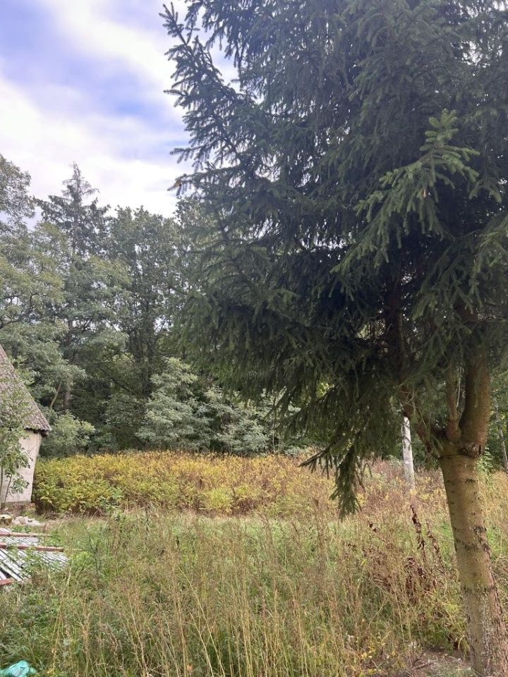 Działka rolna Cicha Góra. Zdjęcie 6