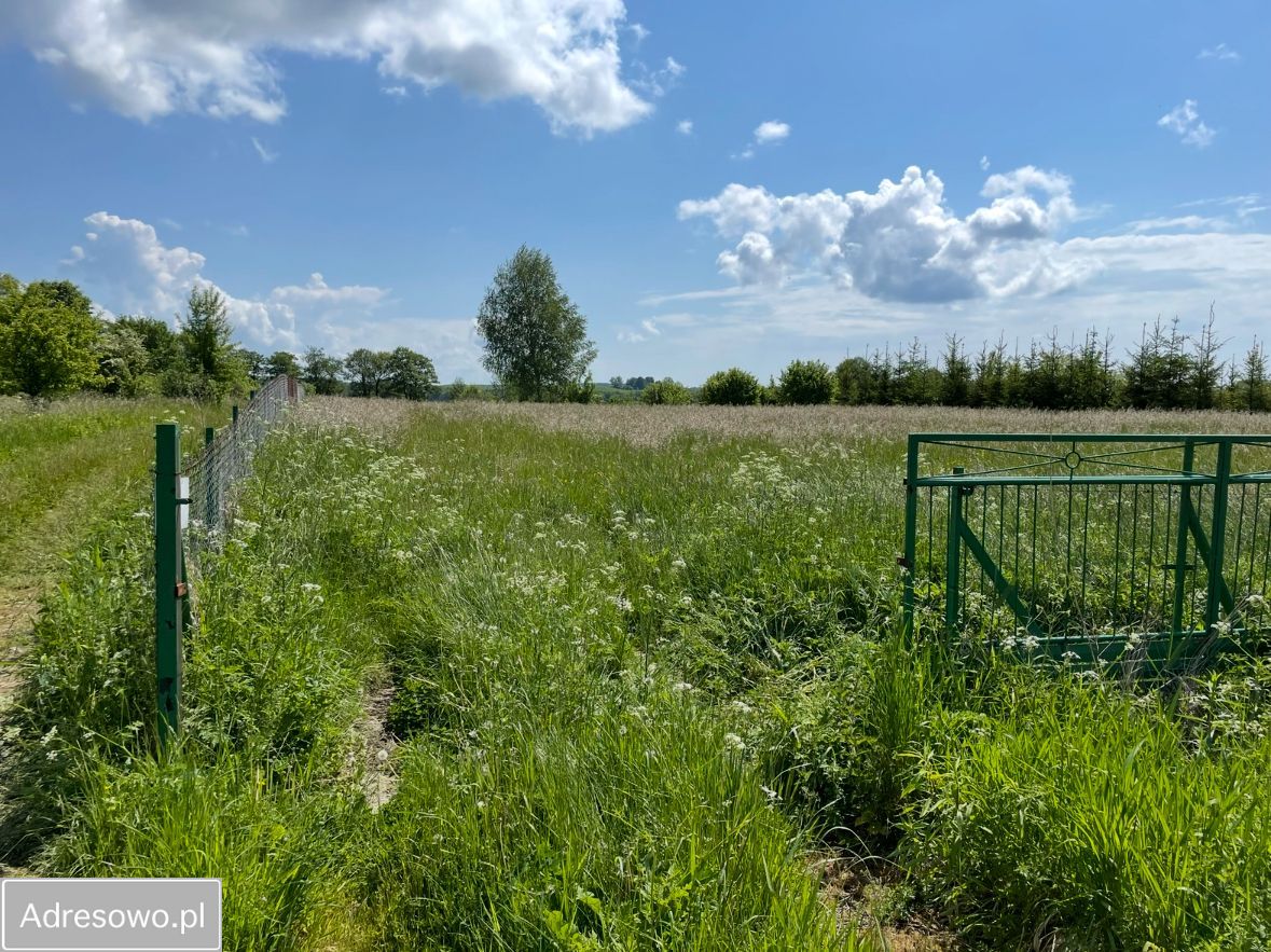 Działka rekreacyjna Wilimy. Zdjęcie 7