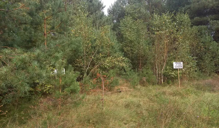 Działka rekreacyjna Dzbądz, Dzbądz