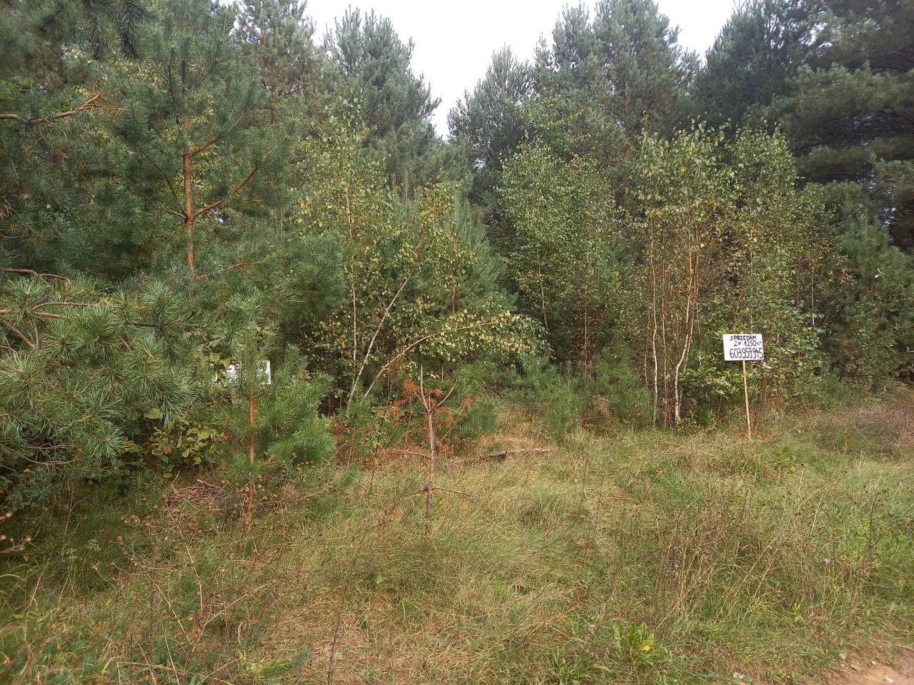 Działka rekreacyjna Dzbądz, Dzbądz. Zdjęcie 1