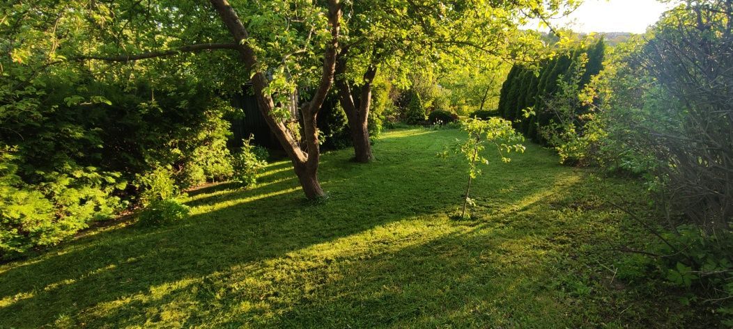 Działka rod Ostróda, ul. 21 Stycznia. Zdjęcie 6