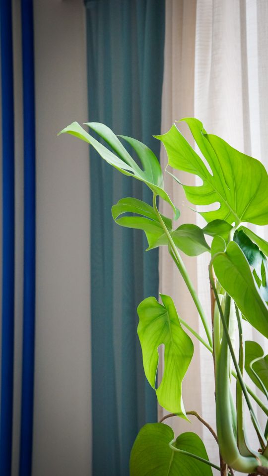 Mieszkanie 1-pokojowe Wrocław Psie Pole, ul. Bolesława Krzywoustego. Zdjęcie 27