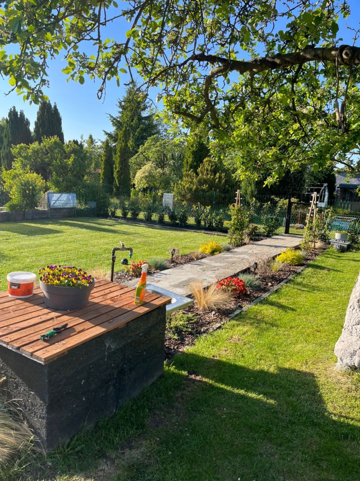 Działka rod Polkowice. Zdjęcie 6