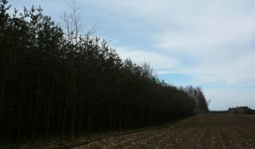 Działka leśna Markotów Mały Nowa Wieś