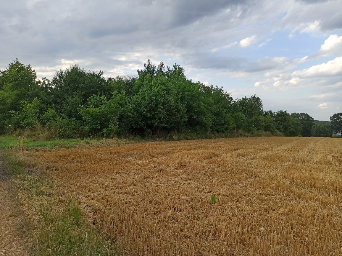 Działka budowlana Nowa Słupia, ul. dr. Łuszcza. Zdjęcie 7