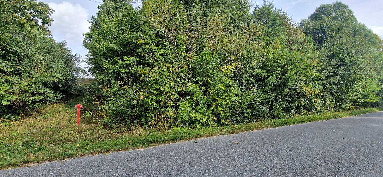 Działka budowlana Stara Huta. Zdjęcie 7