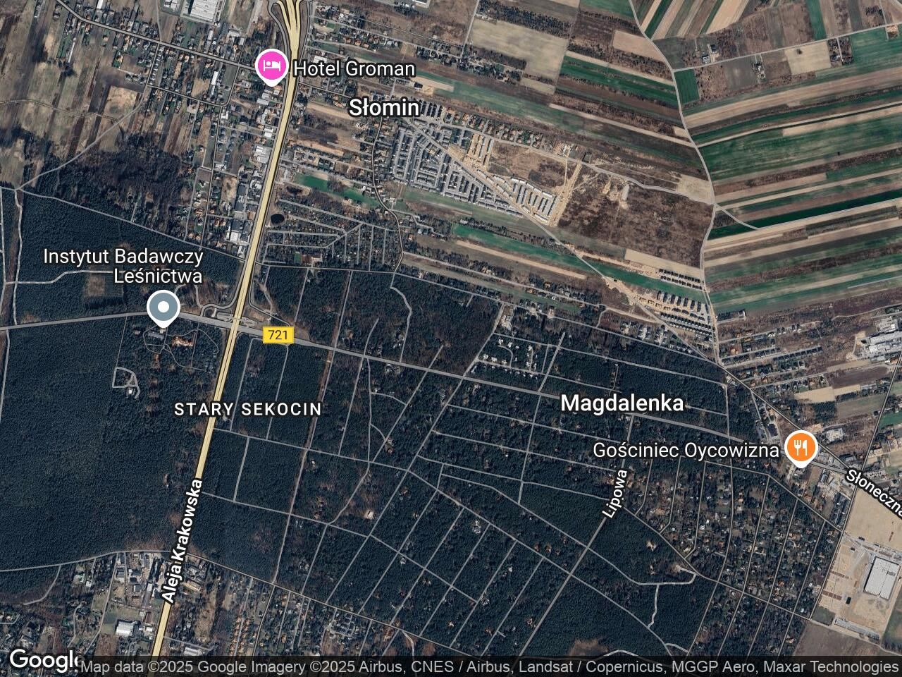 Działka leśna Sękocin-Las