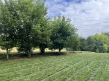 Działka rekreacyjna Miechów. Zdjęcie 3