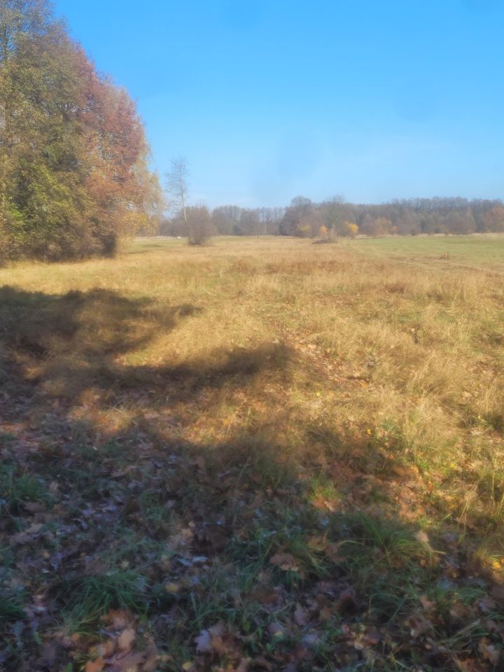 Działka budowlana Nowa Wieś, ul. Wierzbowa. Zdjęcie 3