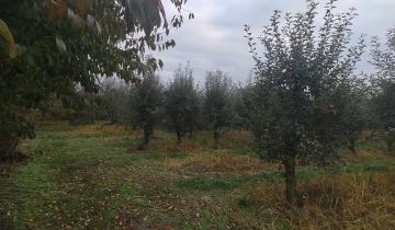 Działka rolno-budowlana Kazimierz Dolny Jeziorszczyzna