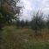 Działka rolno-budowlana Kazimierz Dolny Jeziorszczyzna. Zdjęcie 2