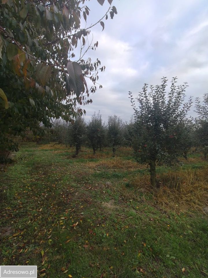 Działka rolno-budowlana Kazimierz Dolny Jeziorszczyzna. Zdjęcie 2