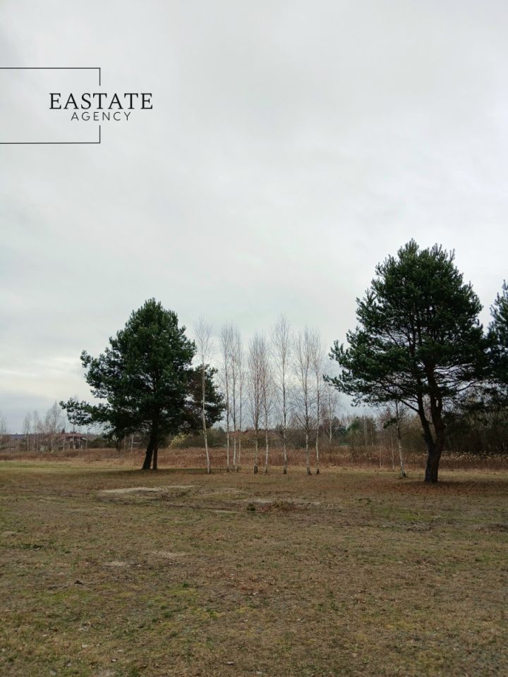 Działka budowlana Koryta, ul. Lipowa. Zdjęcie 2