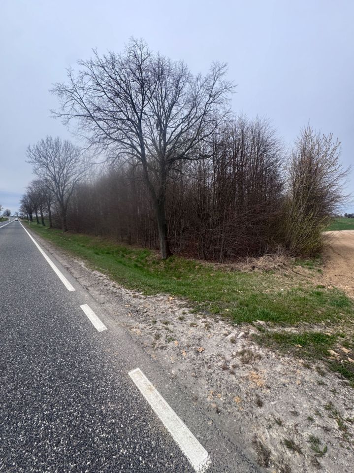 Działka rolna Marcinkowice. Zdjęcie 3