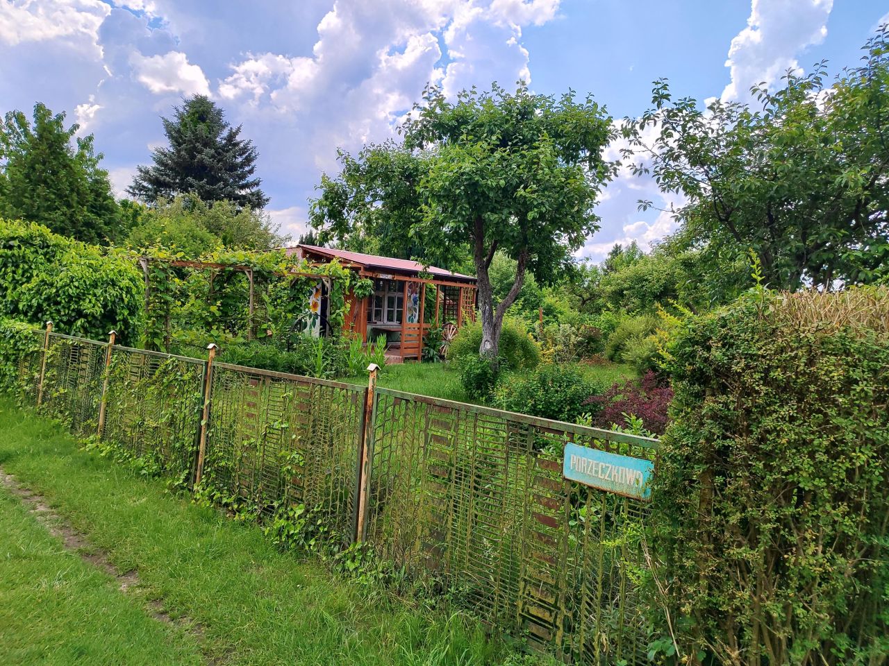 Działka rekreacyjna Zielona Góra Jędrzychów, ul. Kopciuszka. Zdjęcie 9