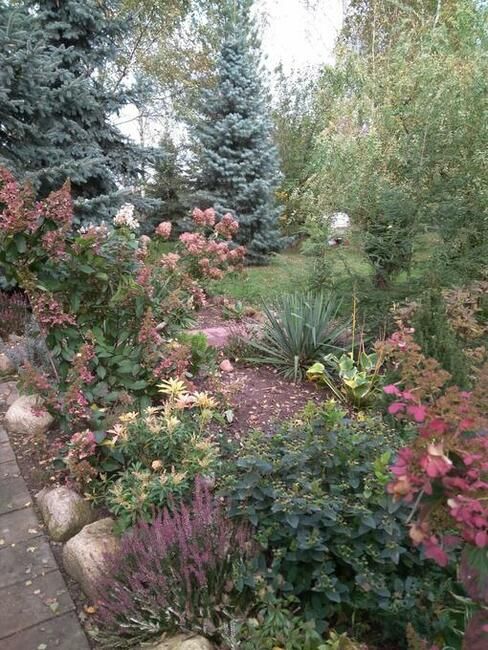 Działka rolno-budowlana Sierzchowy. Zdjęcie 14