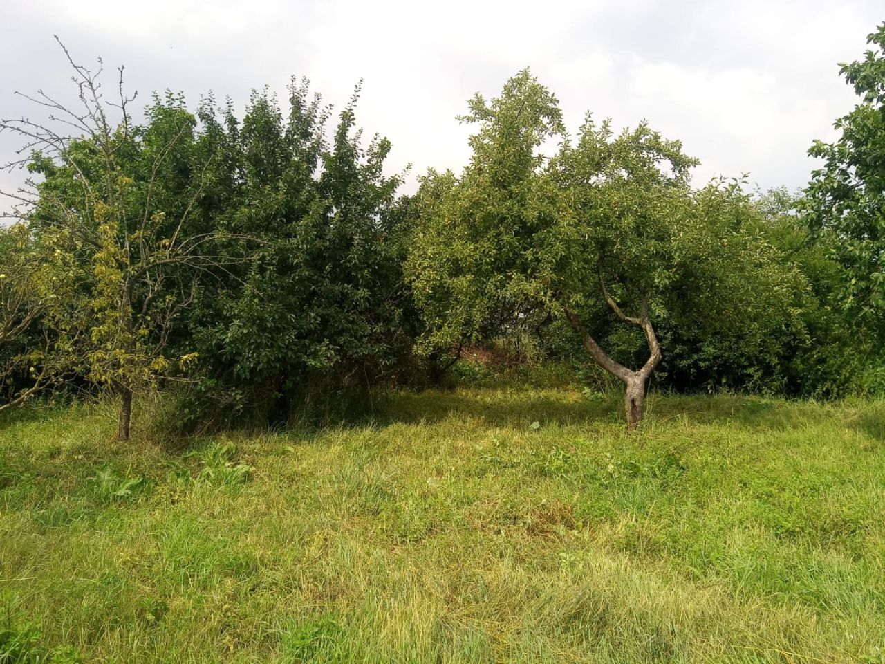 dom wolnostojący, 4 pokoje Łąsko Wielkie. Zdjęcie 7