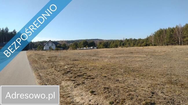 dom wolnostojący, 5 pokoi Kranów. Zdjęcie 6