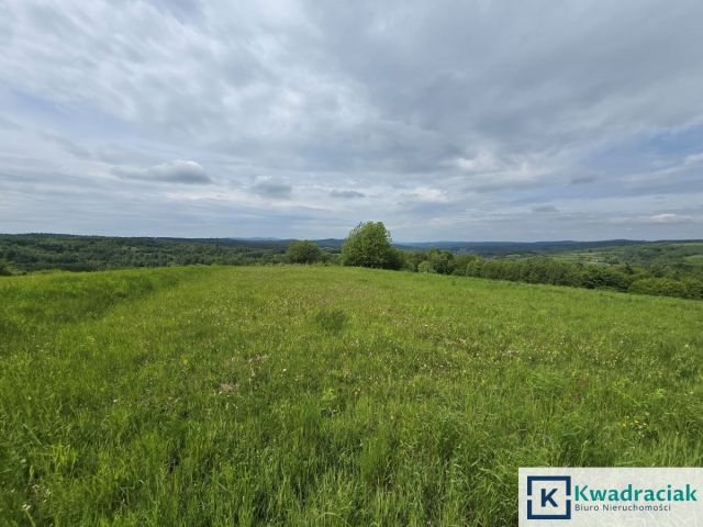 Działka rolna Golcowa. Zdjęcie 2